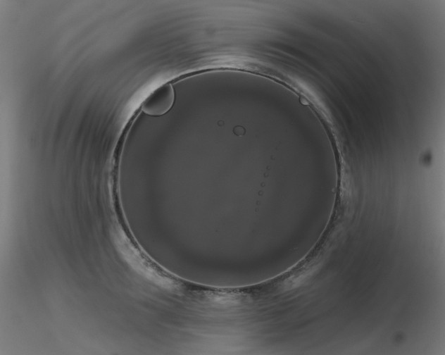 X0000116770899200912171530