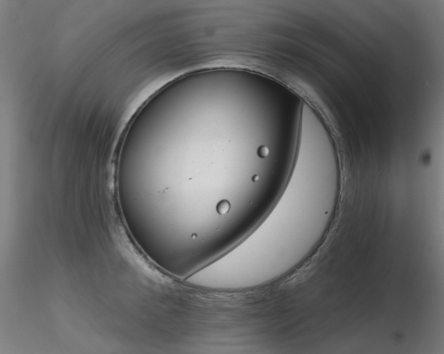 X0000116770900200912171530