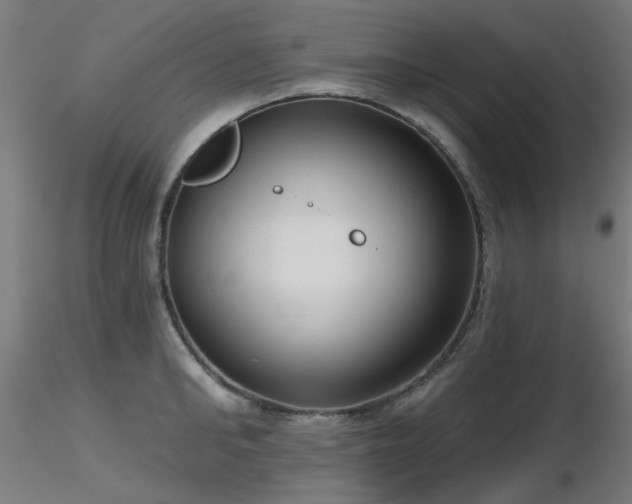 X0000116770902200912171530