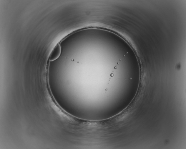X0000116770903200912171530