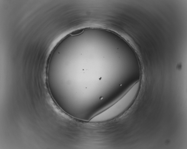 X0000116770904200912171530