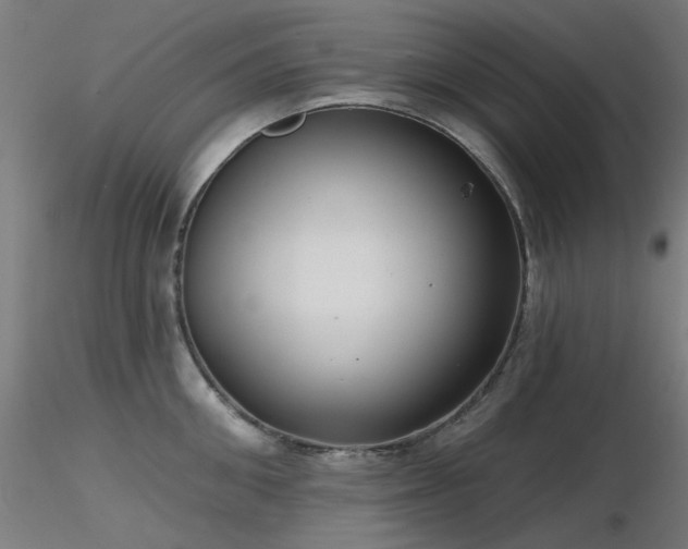 X0000116770906200912171530