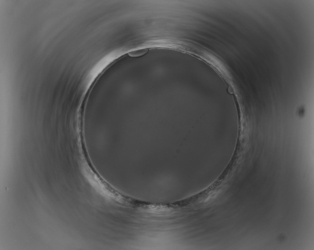 X0000116770907200912171530