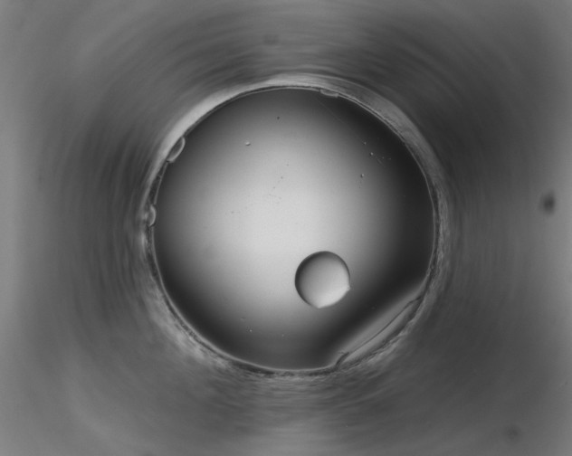 X0000116770908200912171530
