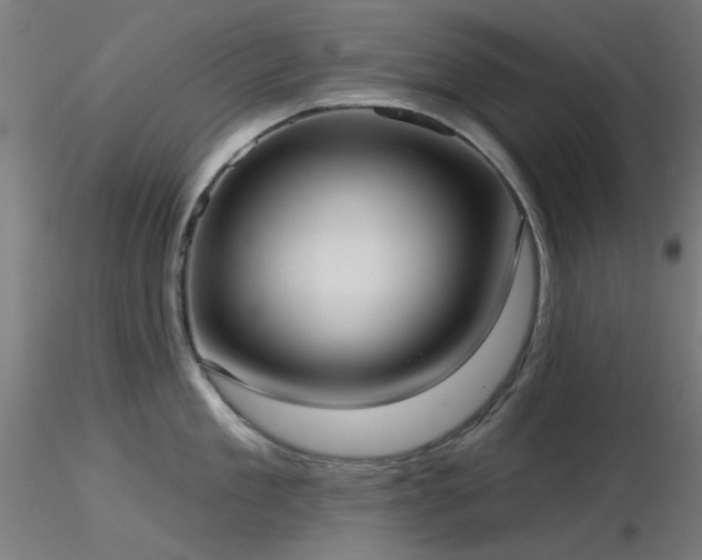 X0000116770909200912171530