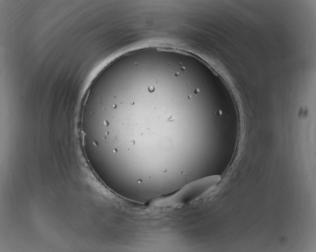 X0000116770912200912171530