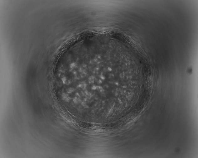 X0000116770913200912171529