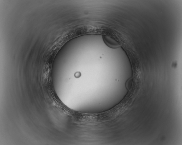 X0000116770914200912171529