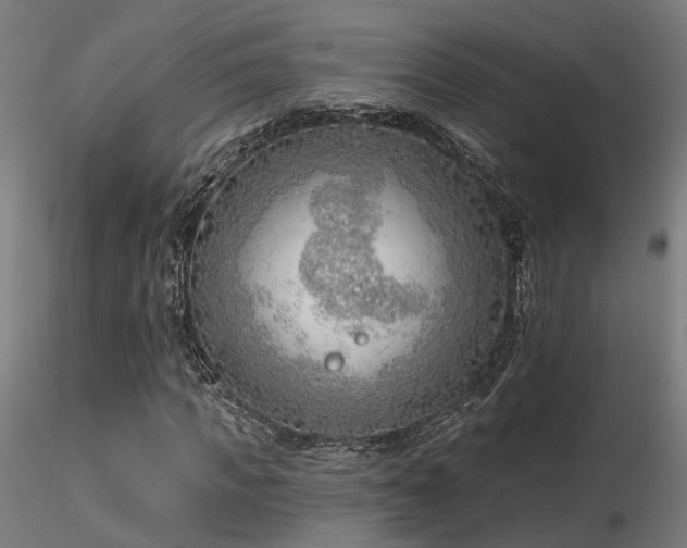 X0000116770917200912171529