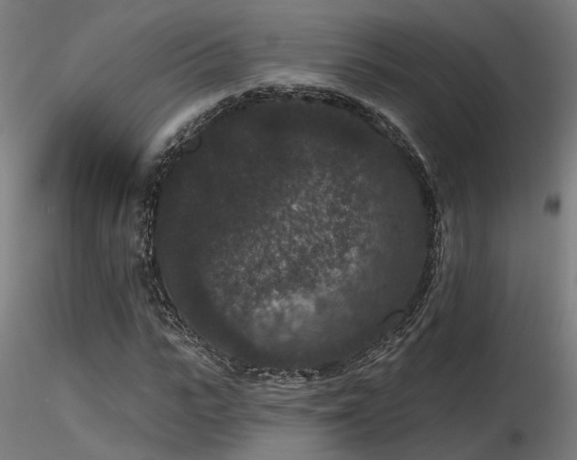 X0000116770919200912171529
