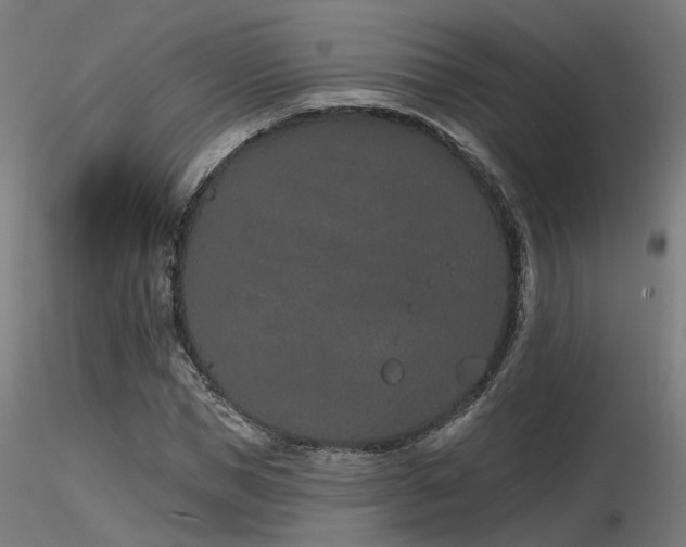 X0000116770921200912171530