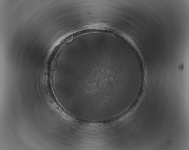X0000116770923200912171530