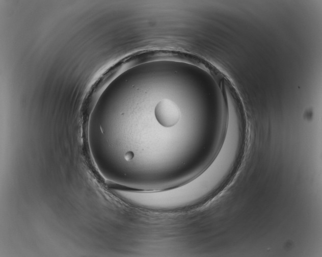 X0000116770925200912171530