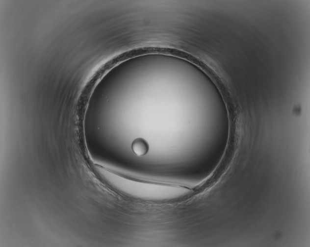 X0000116770926200912171530