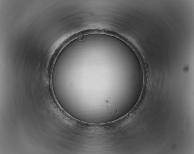 X0000116770927200912171530
