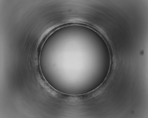 X0000116770931200912171530