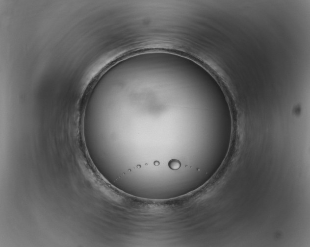 X0000116770933200912171530