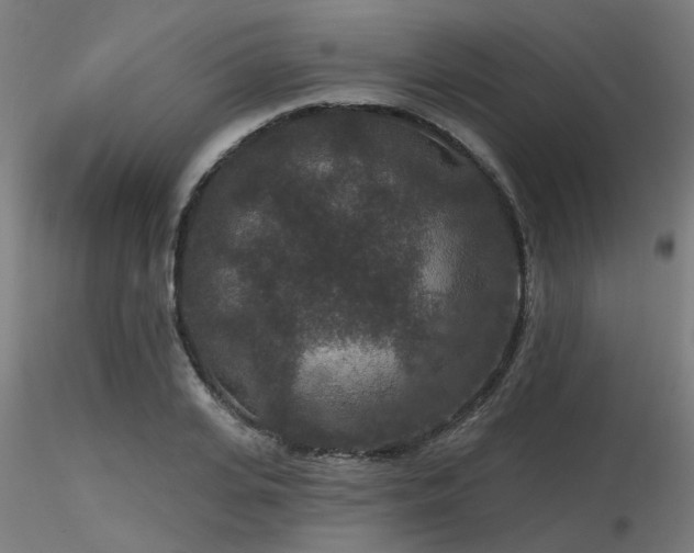 X0000116770935200912171530