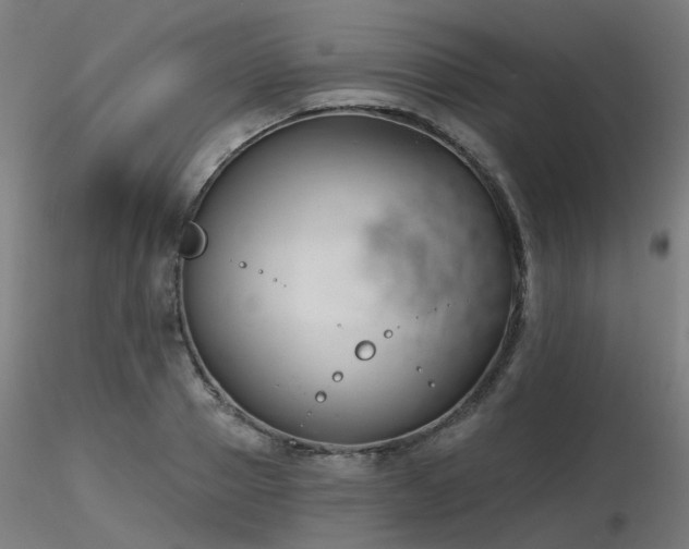 X0000116770937200912171530