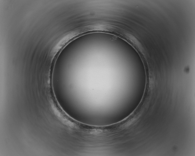 X0000116770938200912171530