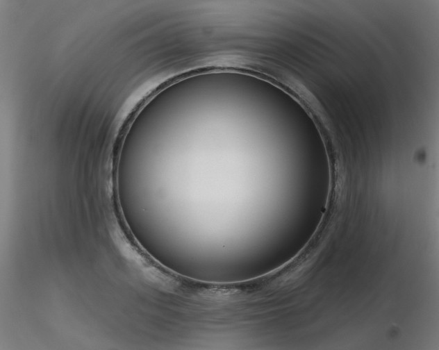 X0000116770939200912171530