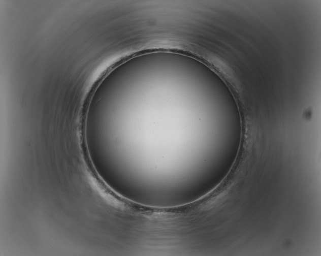 X0000116770942200912171530