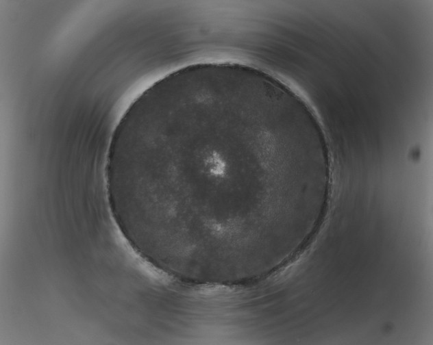 X0000116770943200912171530