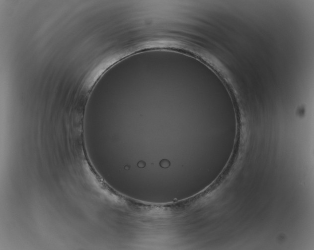 X0000116770945200912171530