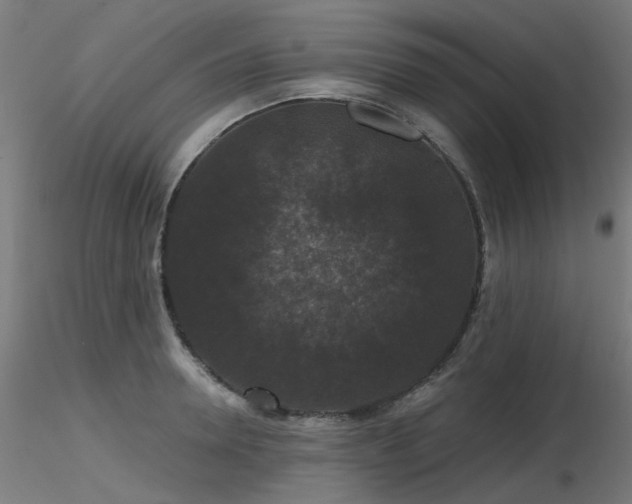 X0000116770946200912171530