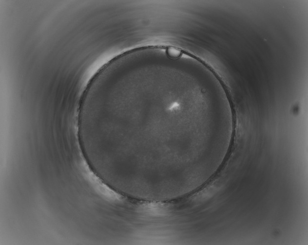 X0000116770950200912171530