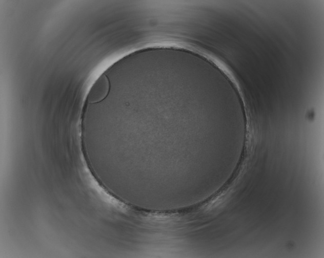 X0000116770951200912171530