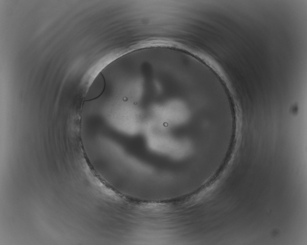X0000116770953200912171530