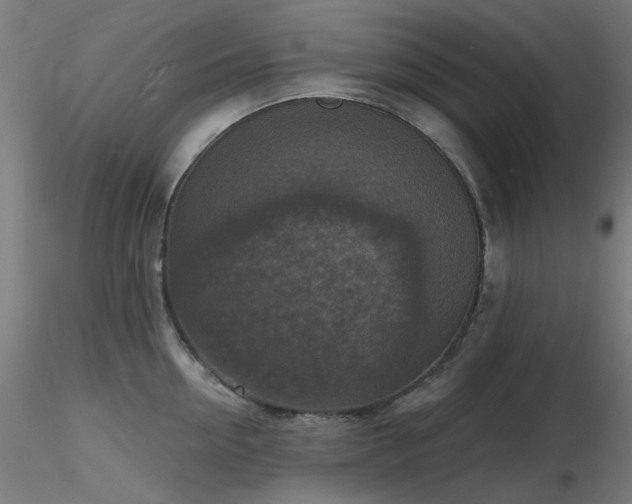X0000116770954200912171530