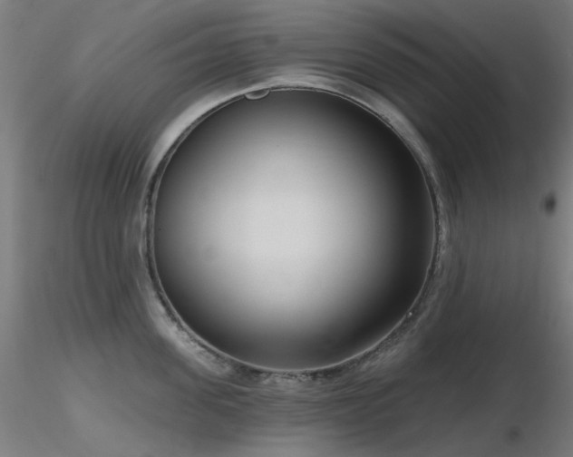 X0000116770955200912171530