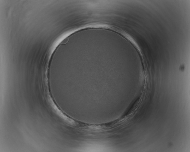 X0000116770959200912171530