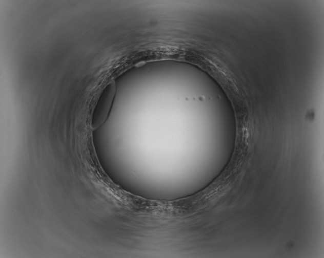 X0000116770961200912171529