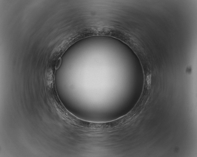 X0000116770963200912171529