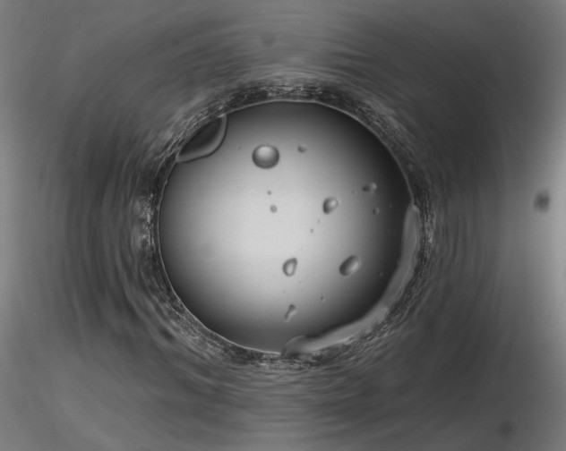 X0000116770964200912171529