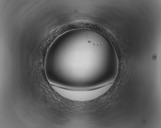 X0000116770965200912171529