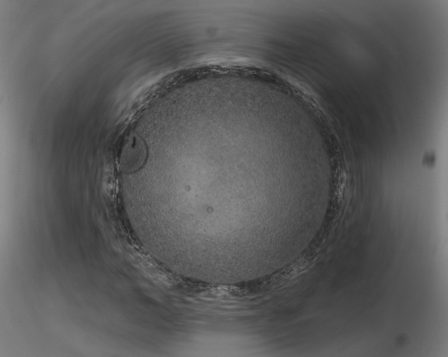 X0000116770966200912171529