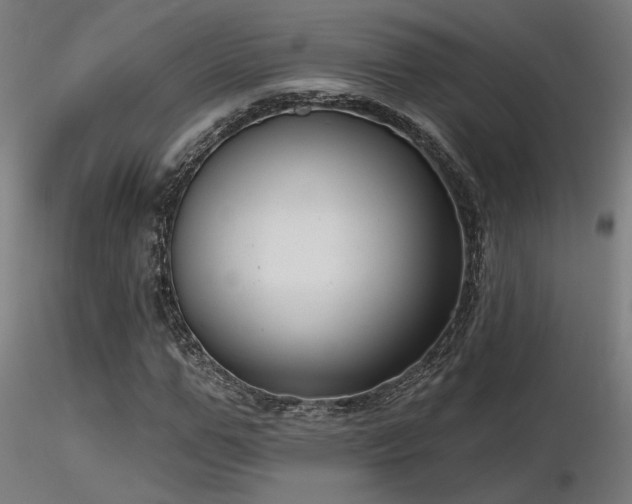 X0000116770967200912171529