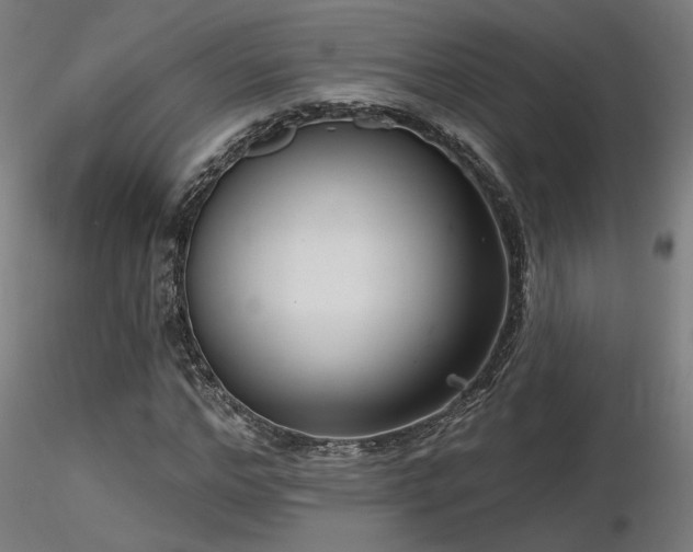 X0000116770968200912171529