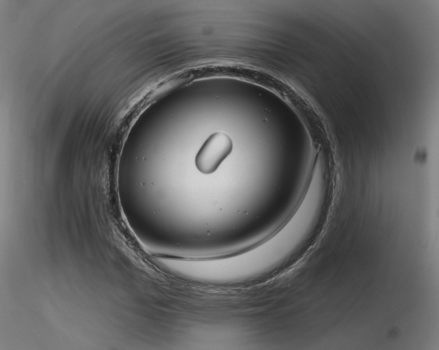 X0000116770969200912171529
