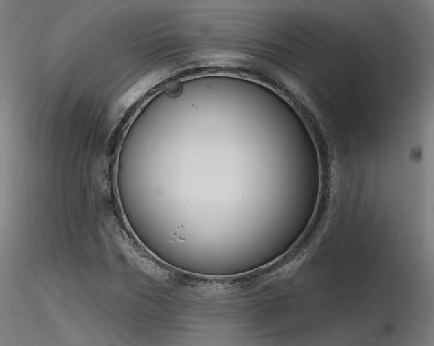 X0000116770970200912171529