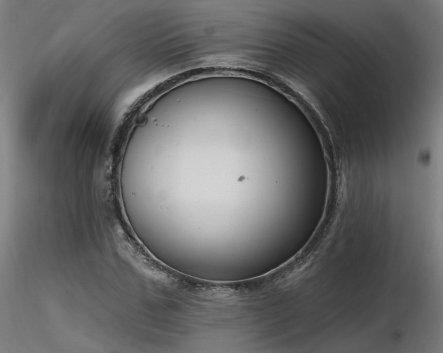 X0000116770971200912171529