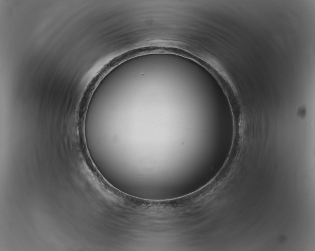 X0000116770972200912171529