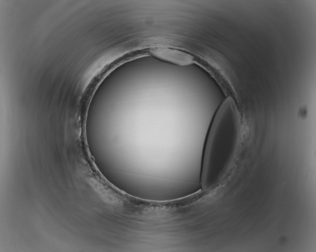 X0000116770973200912171529