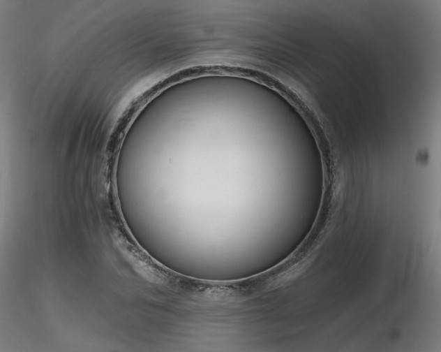 X0000116770974200912171529