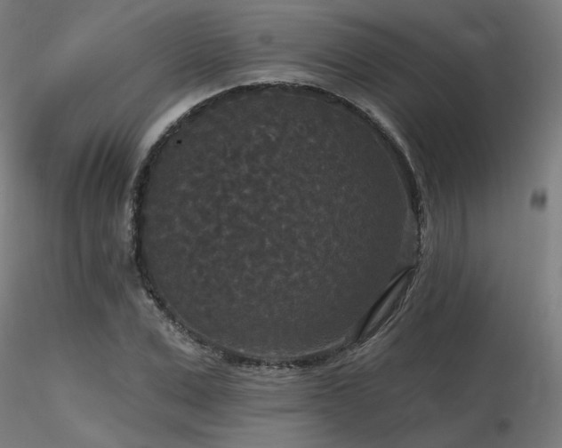 X0000116770975200912171529