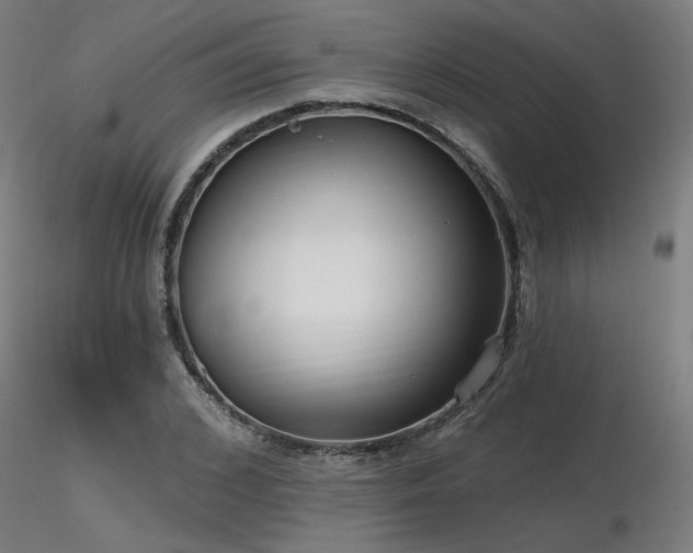X0000116770976200912171529